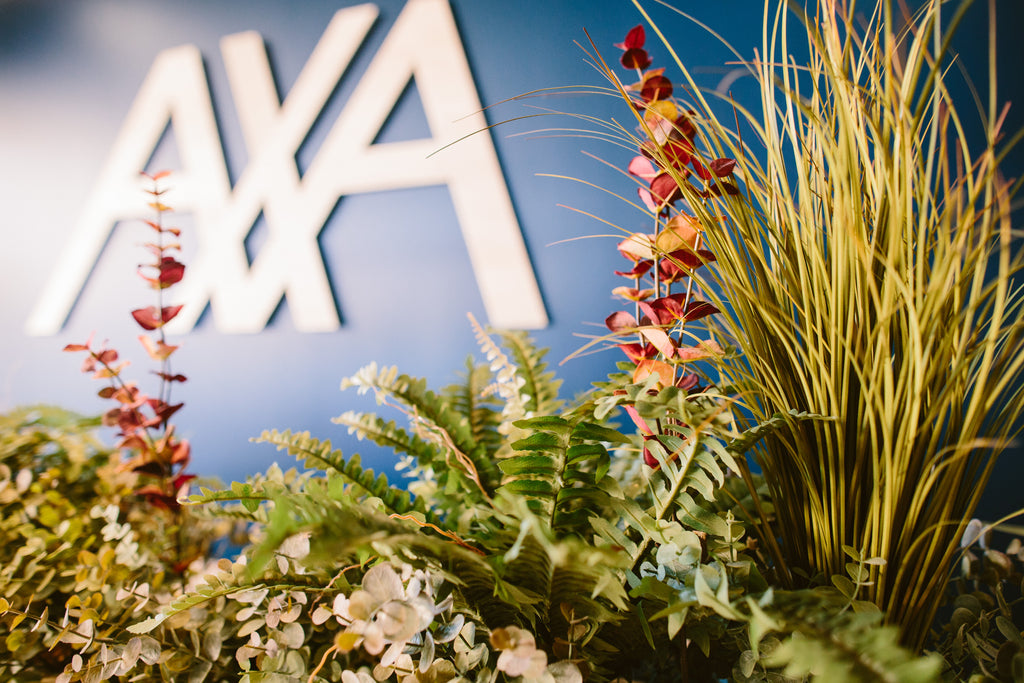Axa Agence, Souston