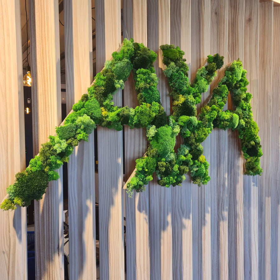 AXA agency, Mées