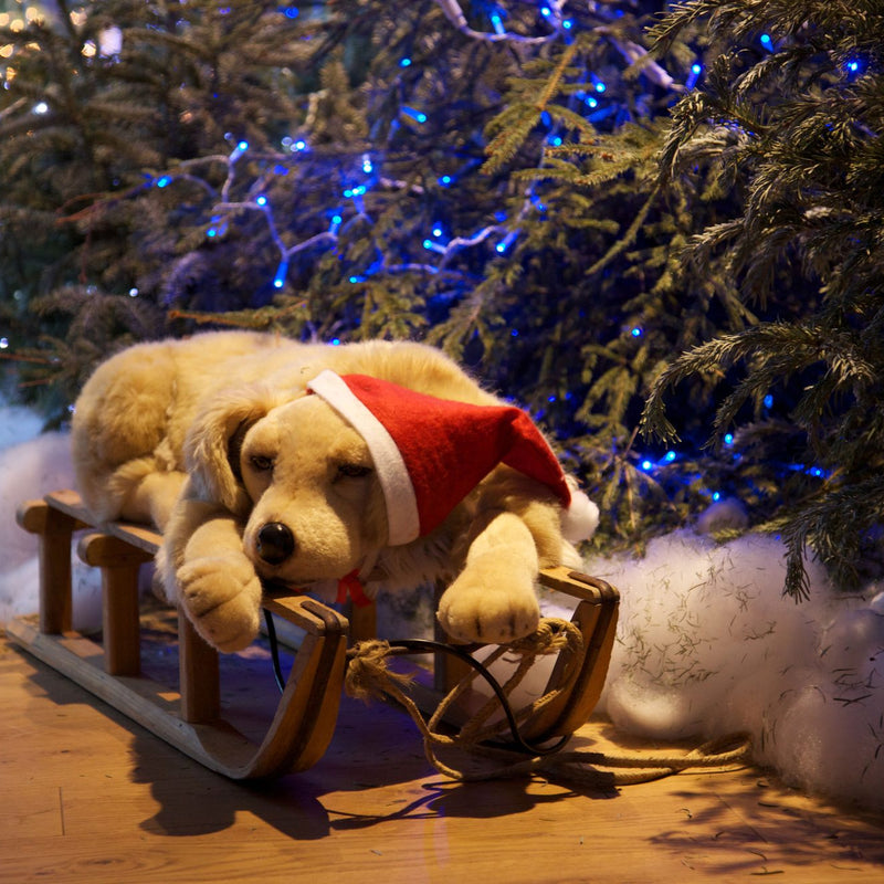 Christmas styling, Quiksilver campus