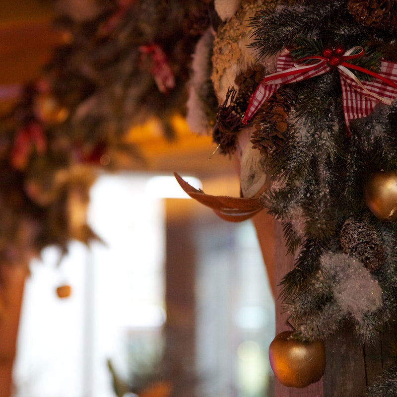 Christmas styling, Quiksilver campus