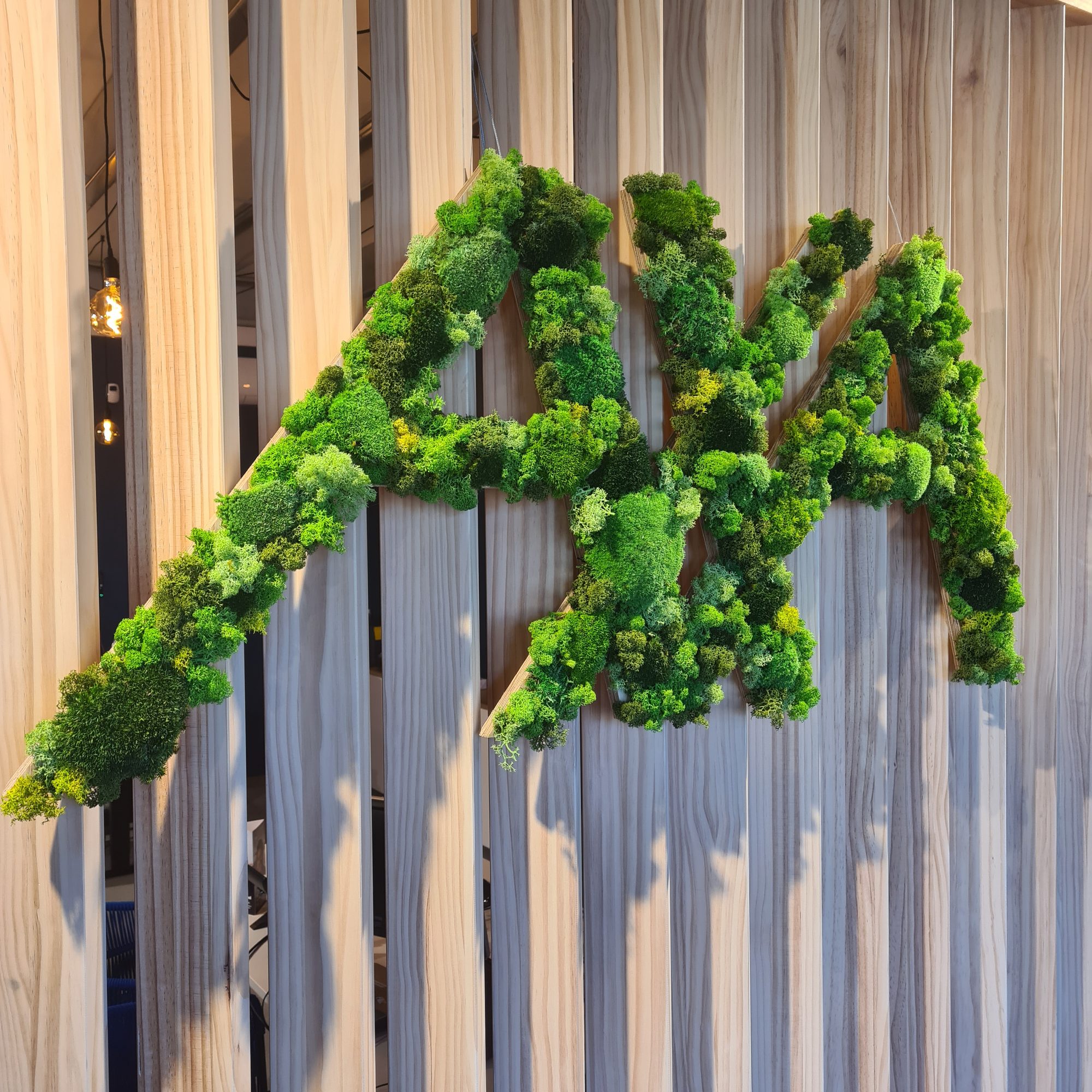 AXA agency, Mées (2024)