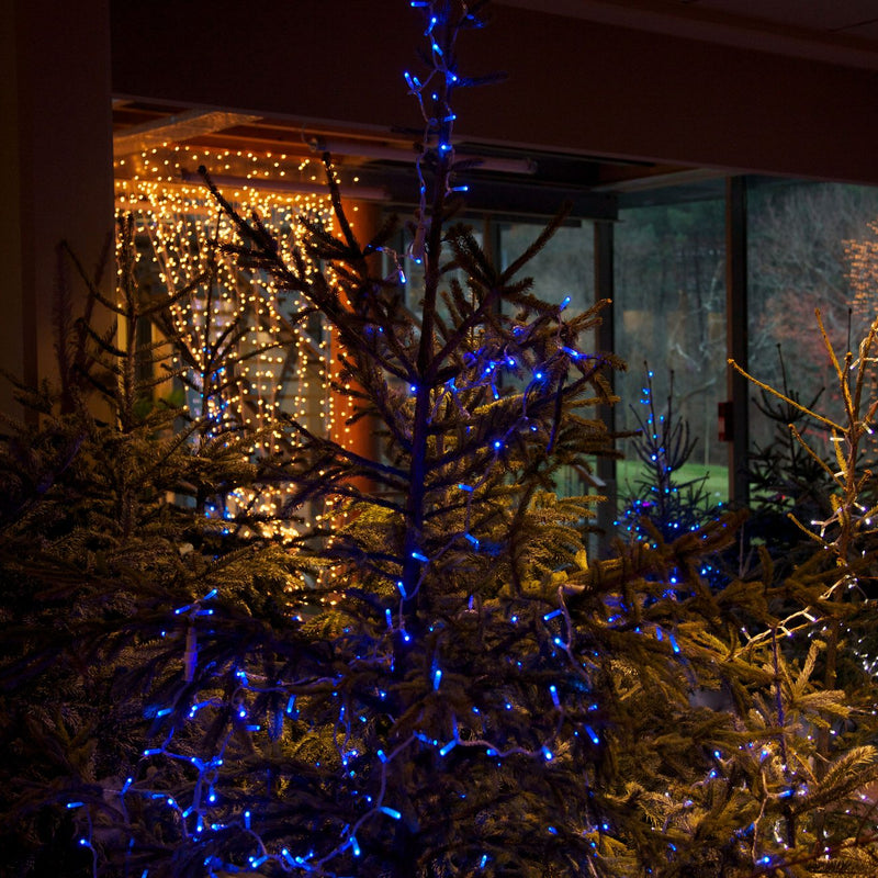 Christmas styling, Quiksilver campus